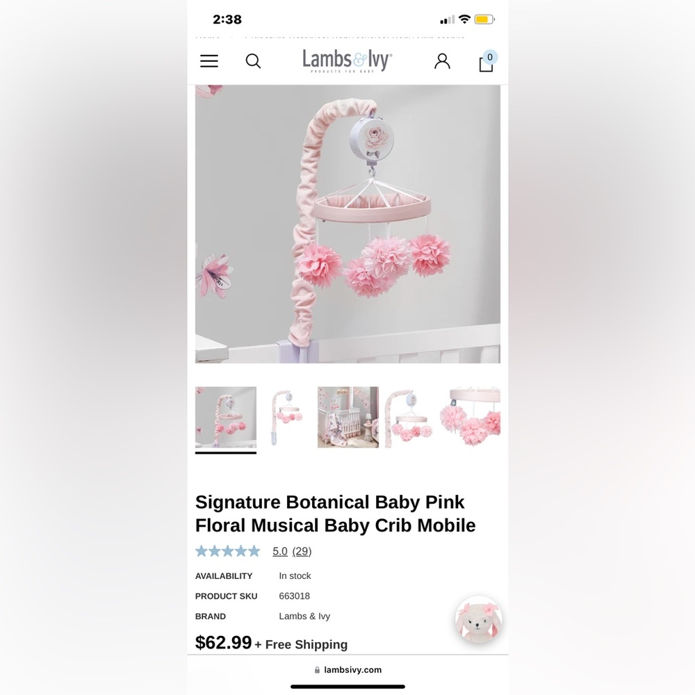 Lambs & Ivy flower crib mobile